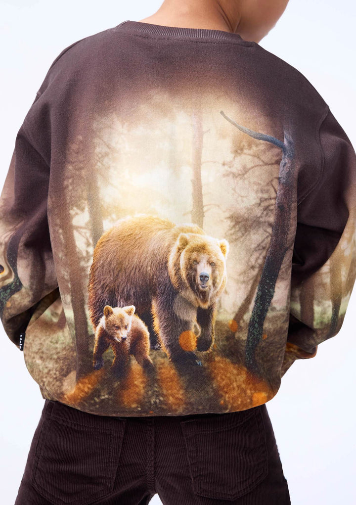 Mattis Sweat Shirt - Honey Bears