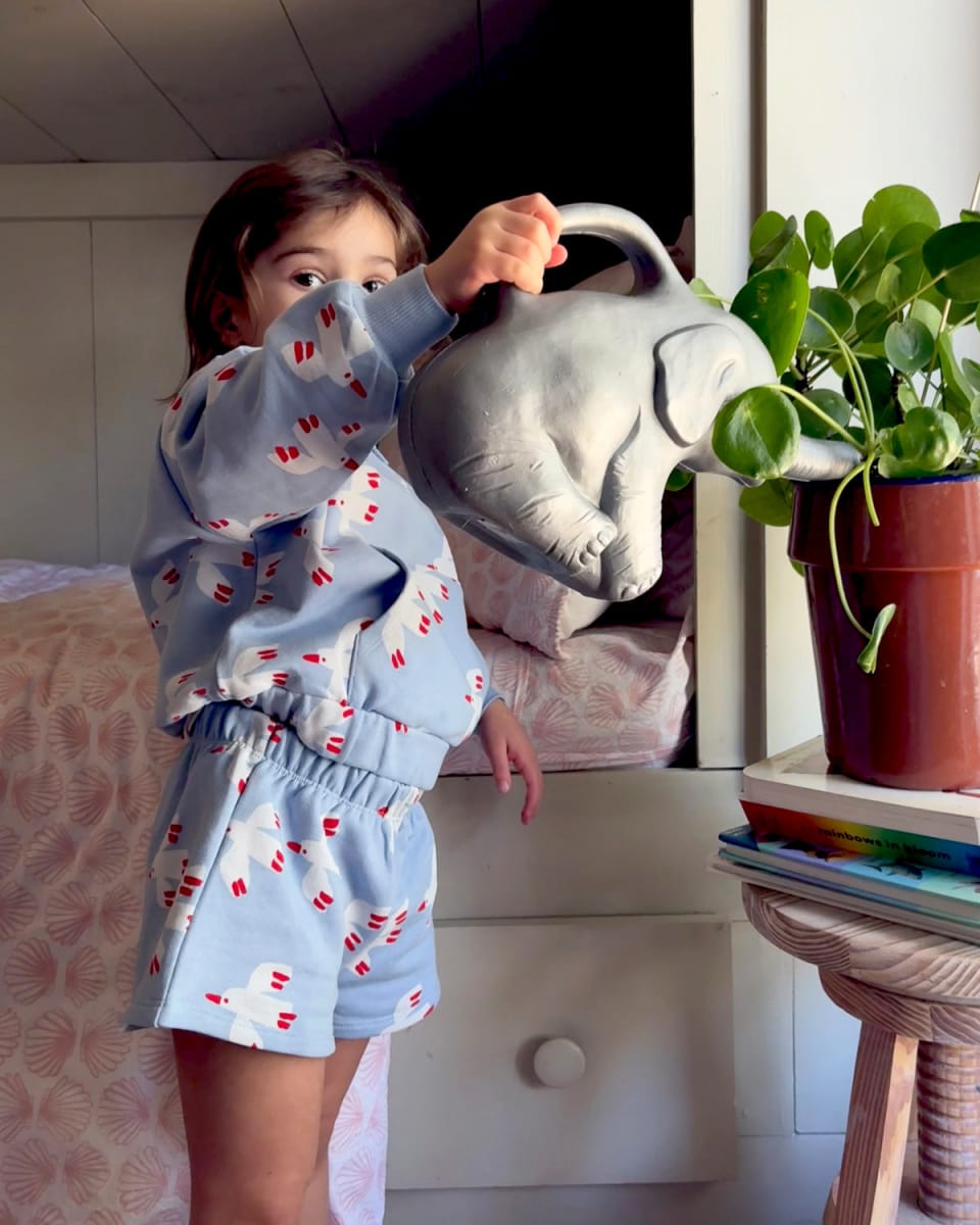 Quarter Zip - Bird Sky