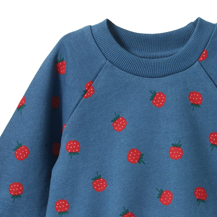 Emerson Sweater - Raspberry Blue Print