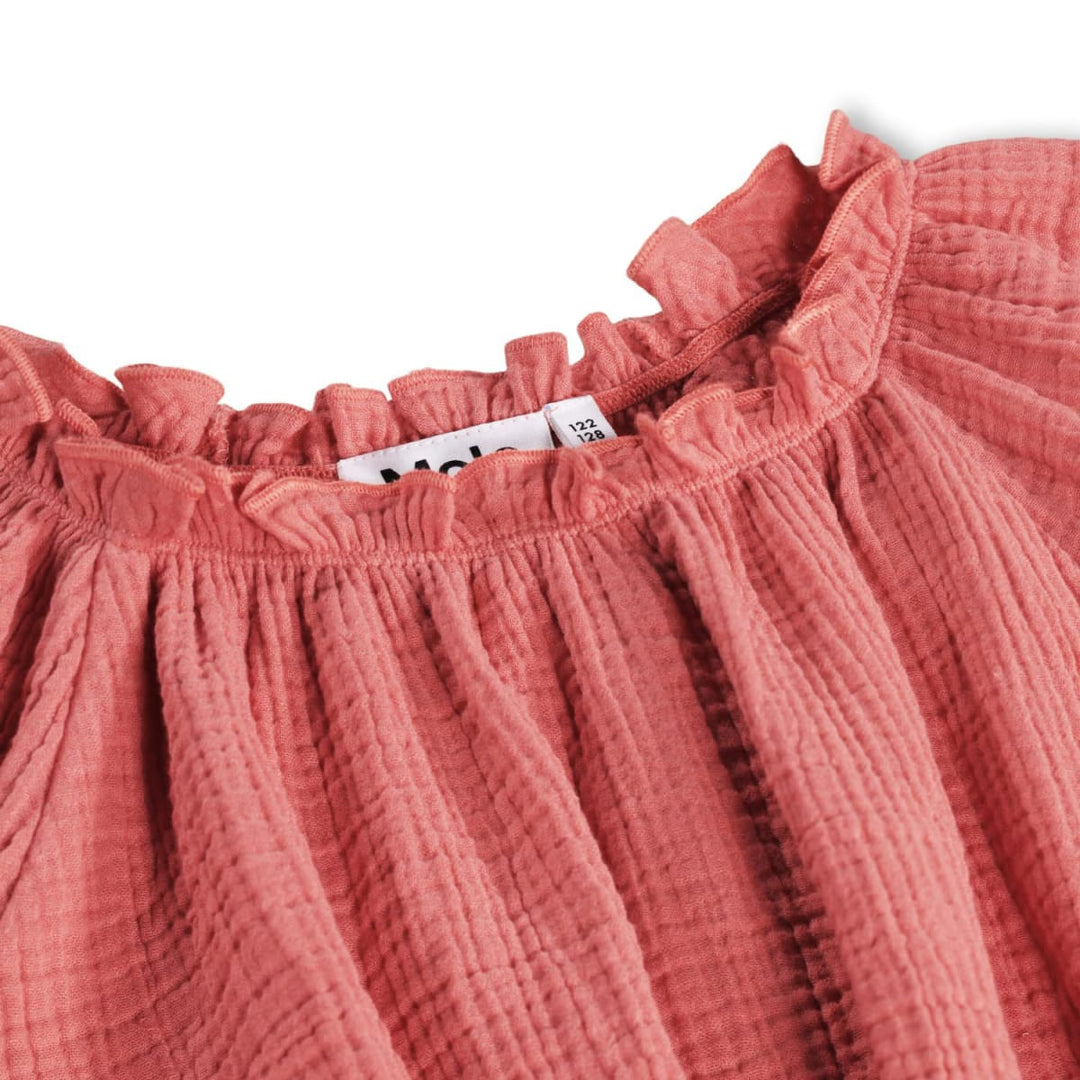 Rafaela - Faded Rose