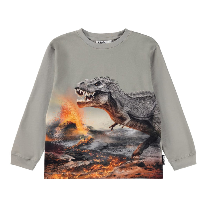 Rube - Dinosaur Fog
