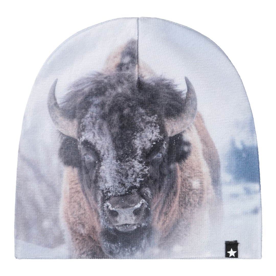 Kaya - Bison Close Up