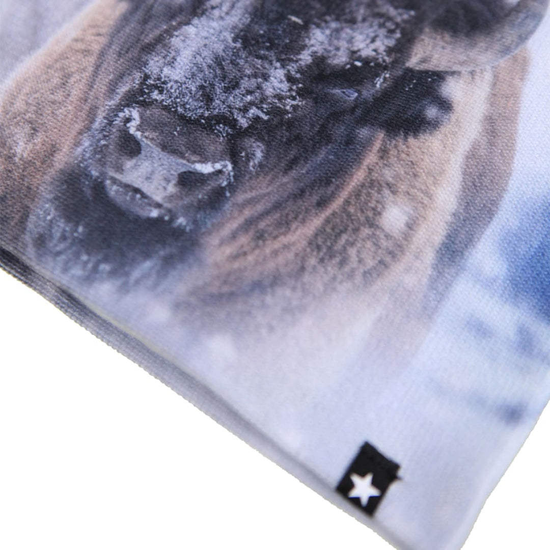 Kaya - Bison Close Up
