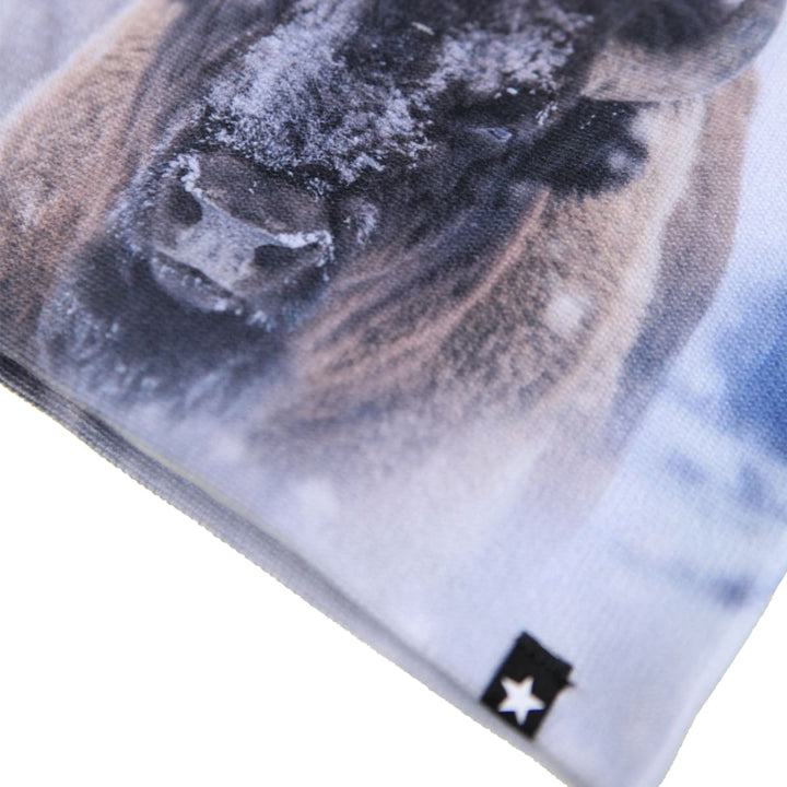 Kaya - Bison Close Up