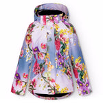 Pearson - Gradient Bloom