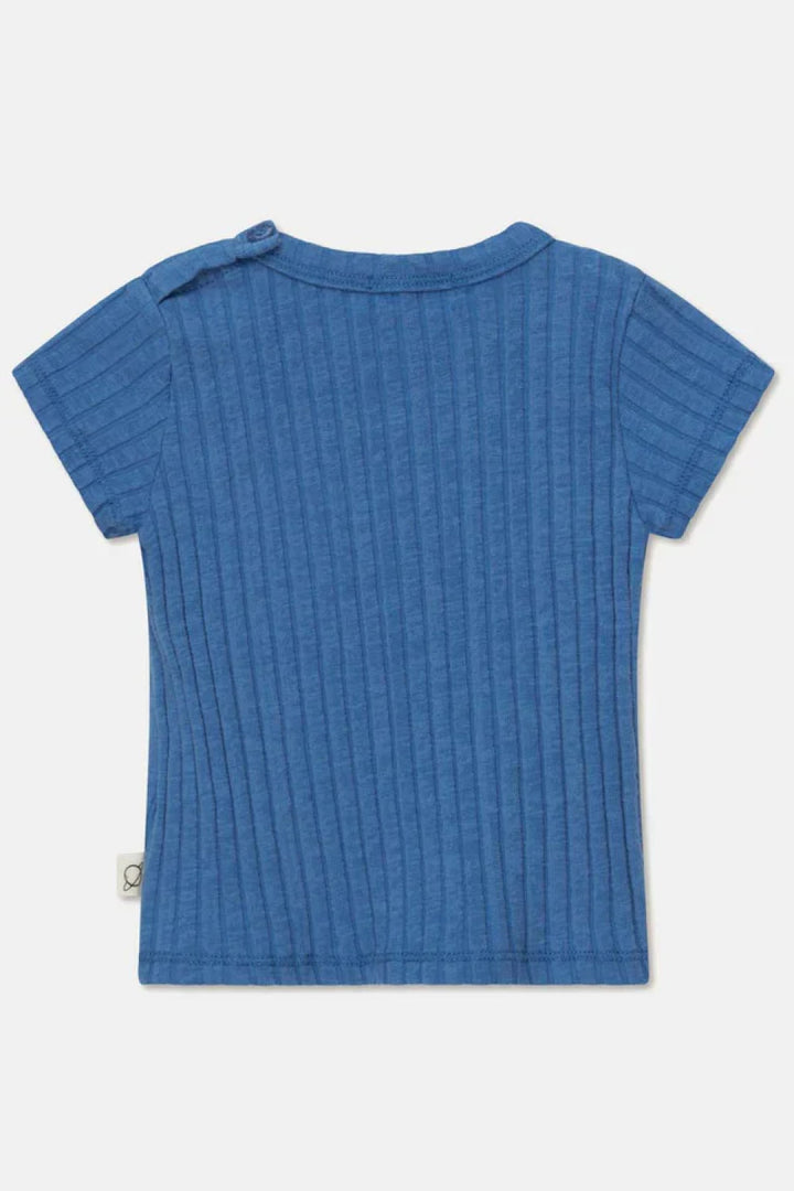 Rib basic baby t-shirt - Blue - T-shirt