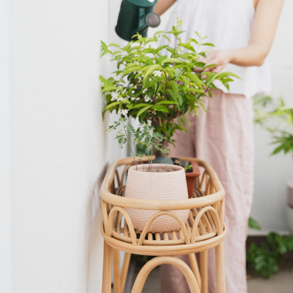 Sage Wicker Plant Stand - FINAL SALE - ONE SIZE - Plant Stand