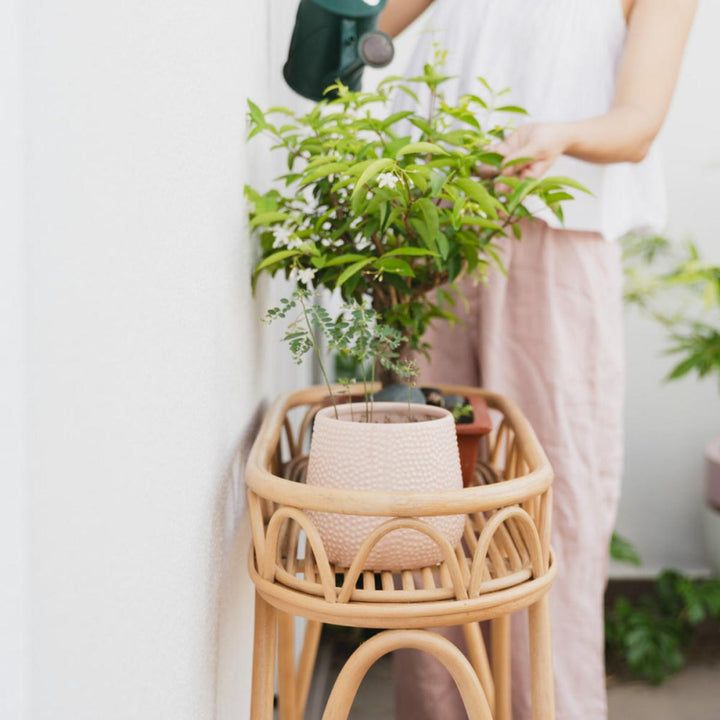 Sage Wicker Plant Stand - FINAL SALE - ONE SIZE - Plant Stand