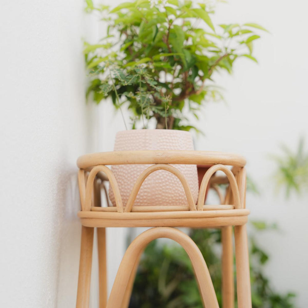 Sage Wicker Plant Stand - FINAL SALE - ONE SIZE - Plant Stand