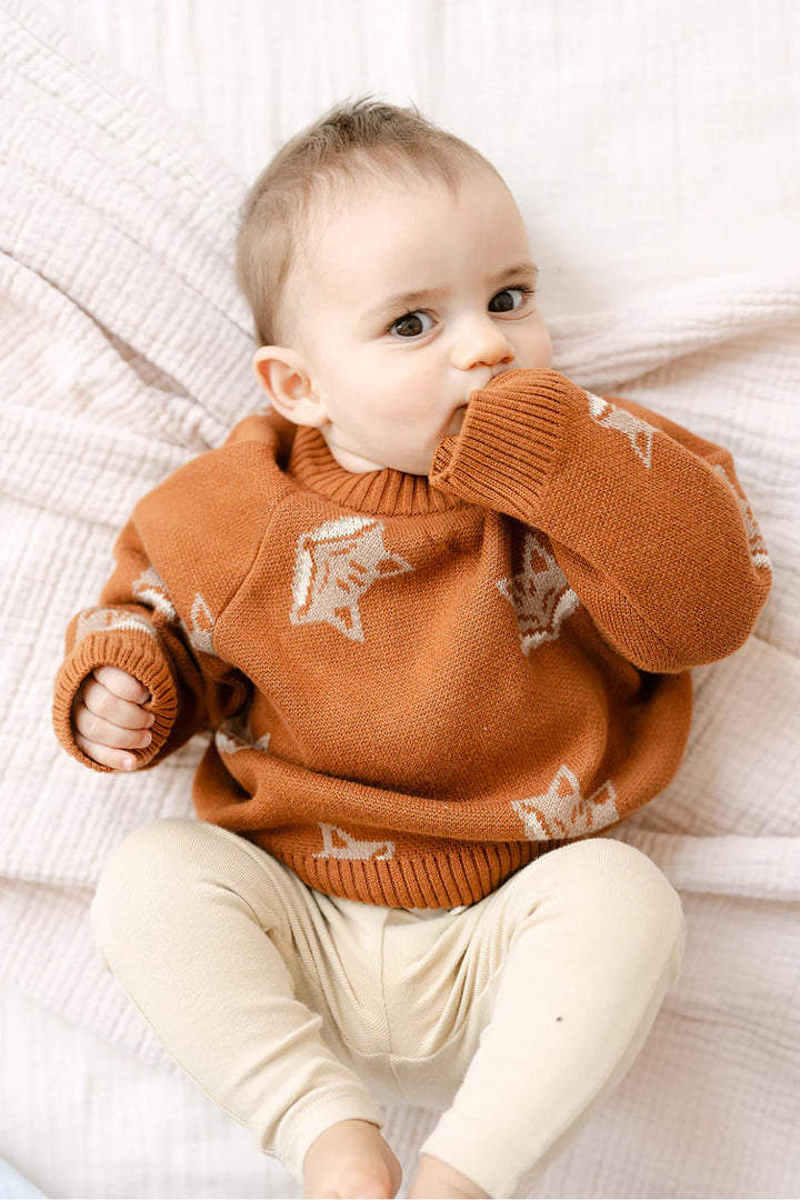 Baby Organic Fox Knit Sweater - Mocha Bisque