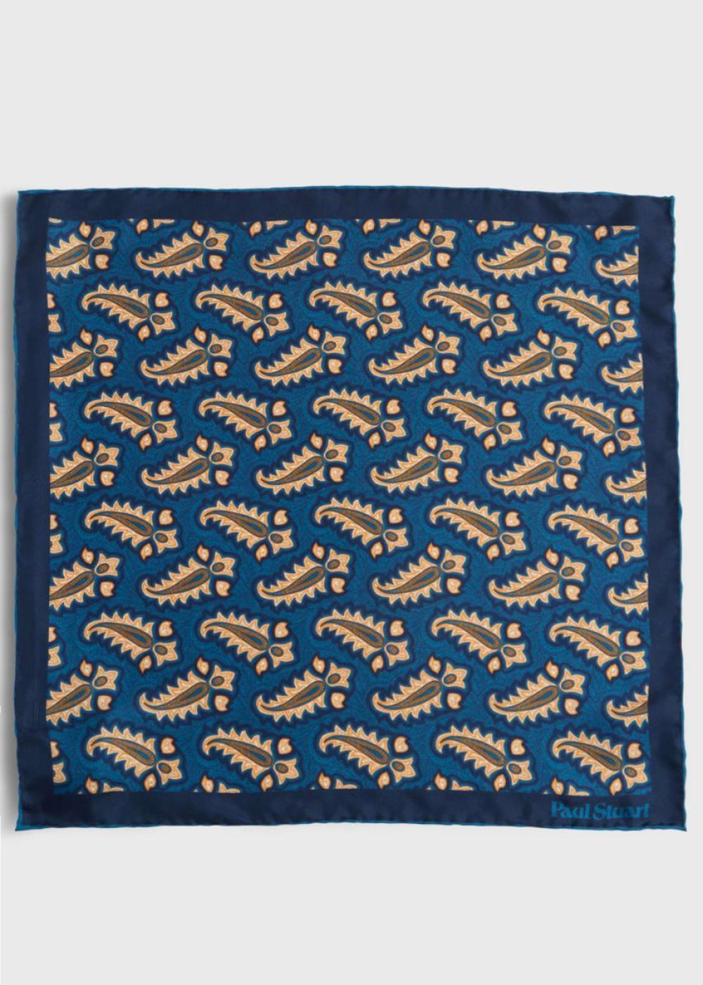 Silk Tossed Paisley Medallion Pocket Square - Blue - ONE SIZE - Pocket Square