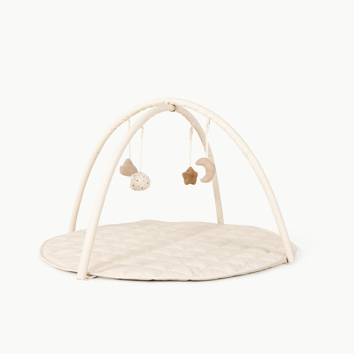 Baby Activity Gym