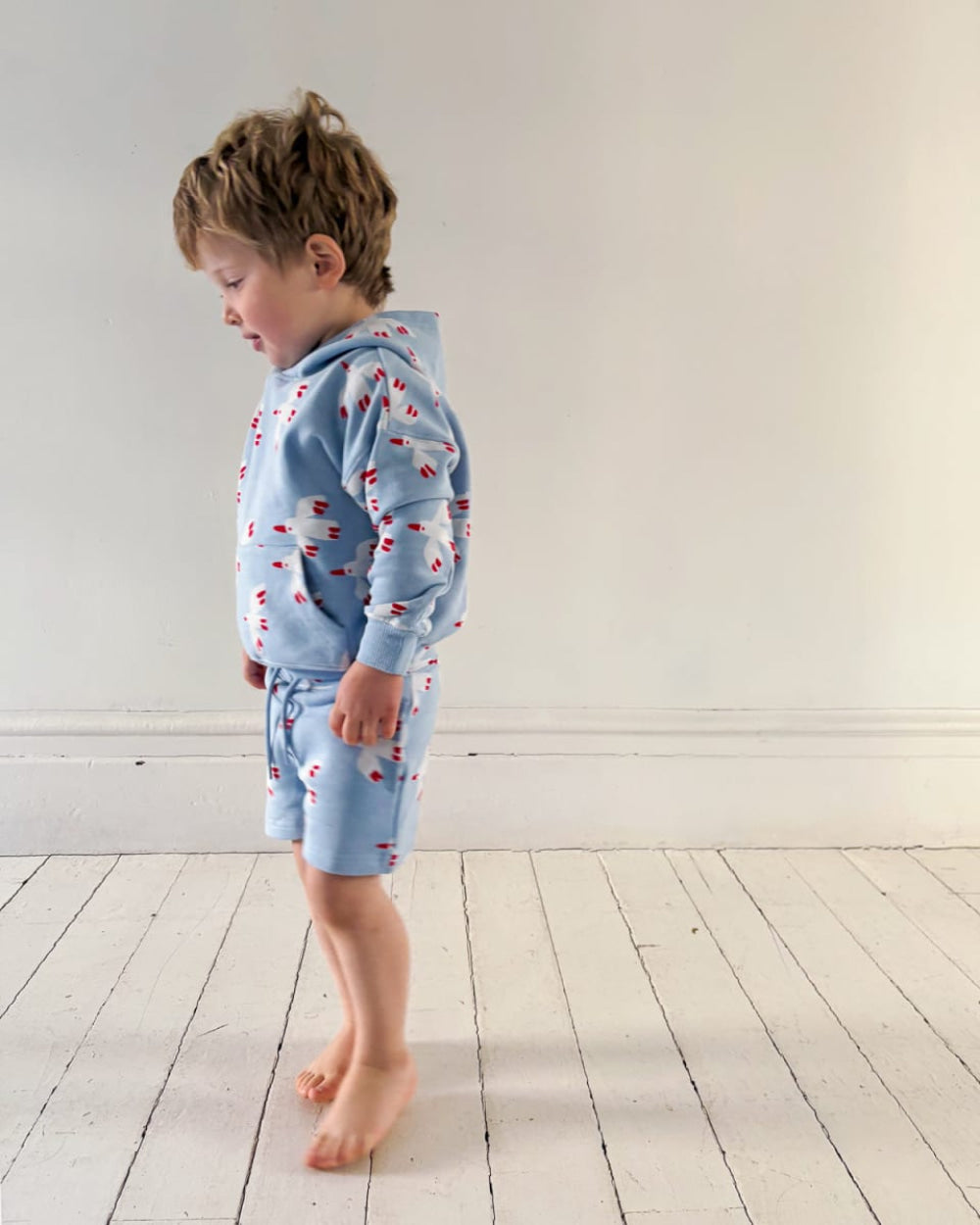 Sweatshort - Bird Sky - Shorts