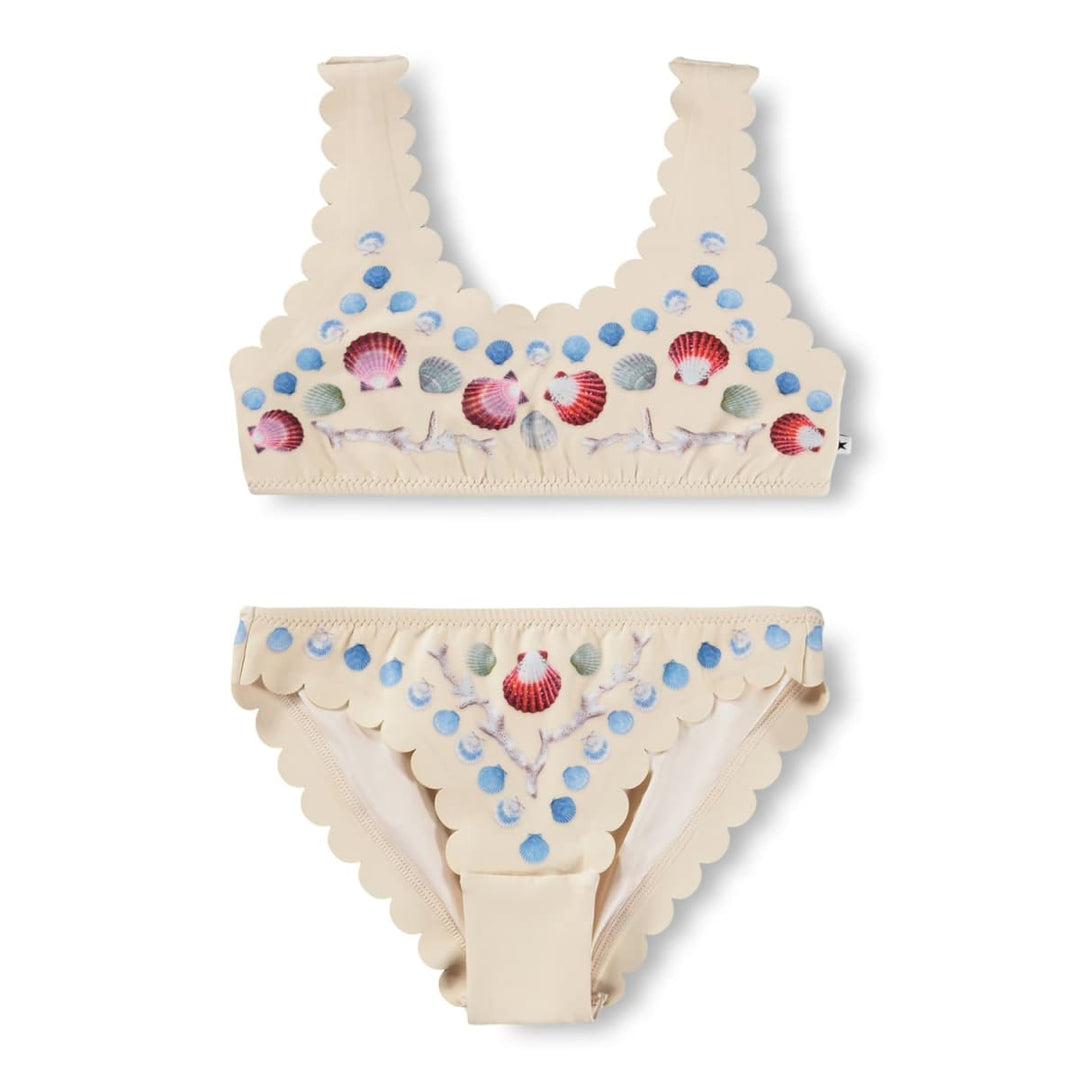 Nolina - Sea Shell Deco