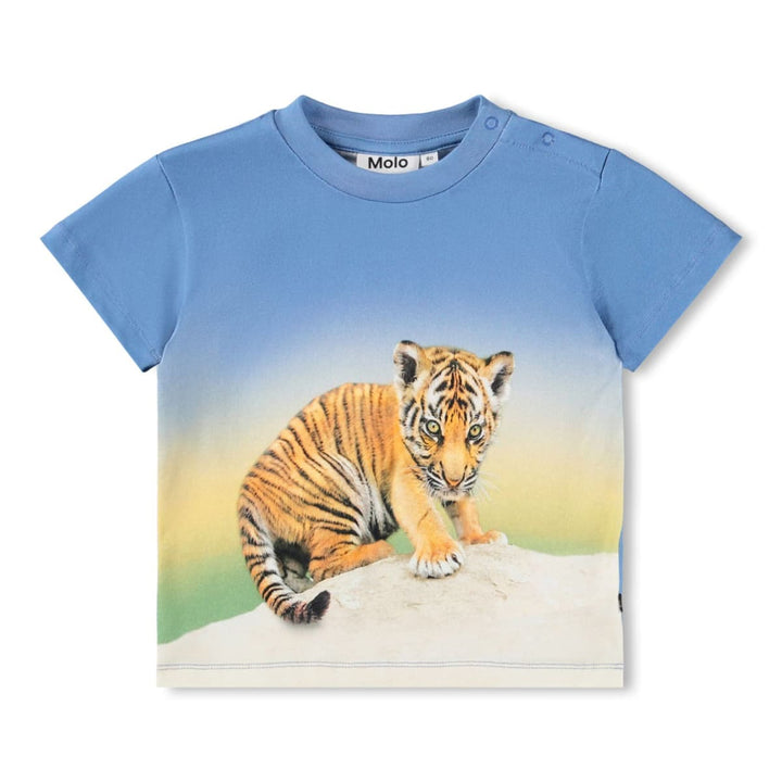 Enzo - Tiger Cub