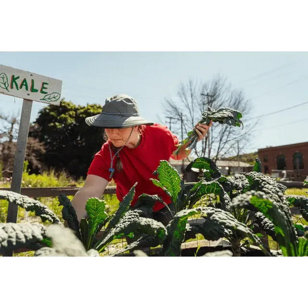 The Forager Hat - Olive - FINAL SALE - Sun Hat