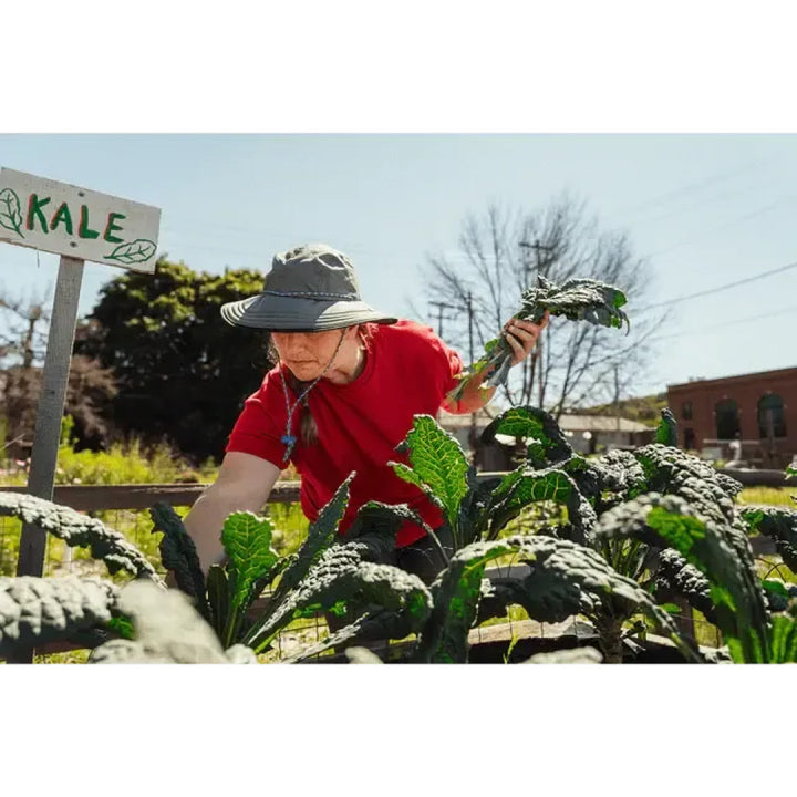 The Forager Hat - Olive - FINAL SALE - Sun Hat