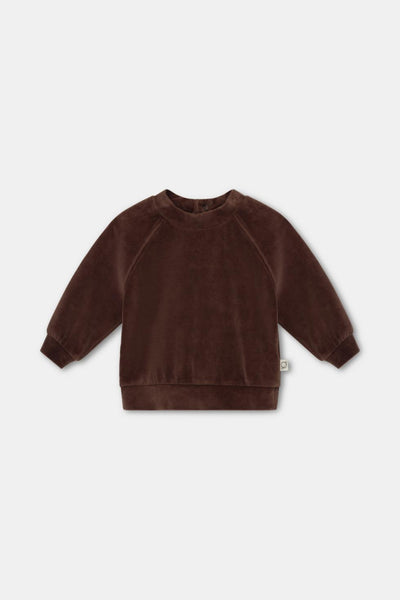 Velour baby sweatshirt - Brown - 6M - Crewneck Sweatshirt