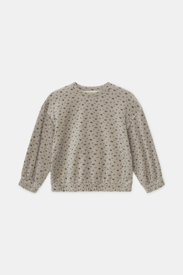 Velour print sweatshirt - Light grey