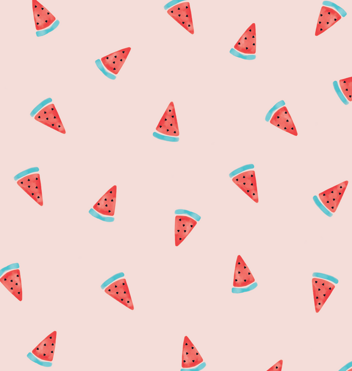 Camila Dress - Watermelon