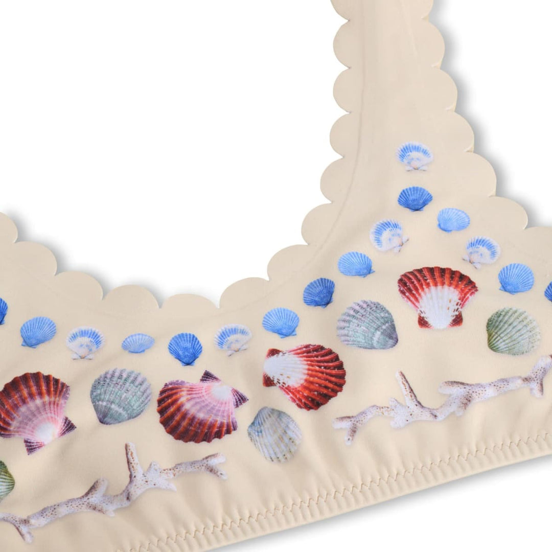 Nolina - Sea Shell Deco