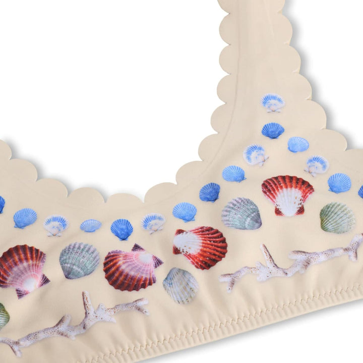Nolina - Sea Shell Deco