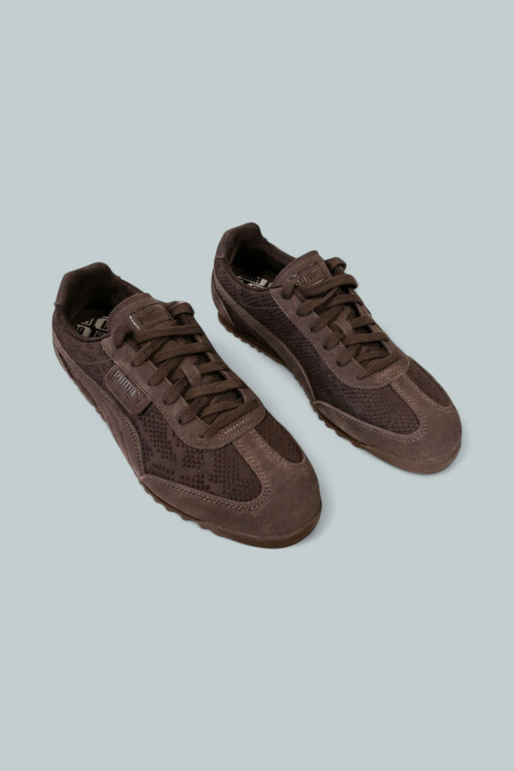 Women’s Arizona Python Embossed Sneakers - Chocolate Brown - 9.5 - Sneaker