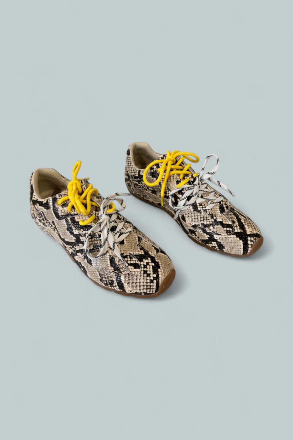 Women’s Aziel Sneakers - Tan Snake - 9 - Sneaker