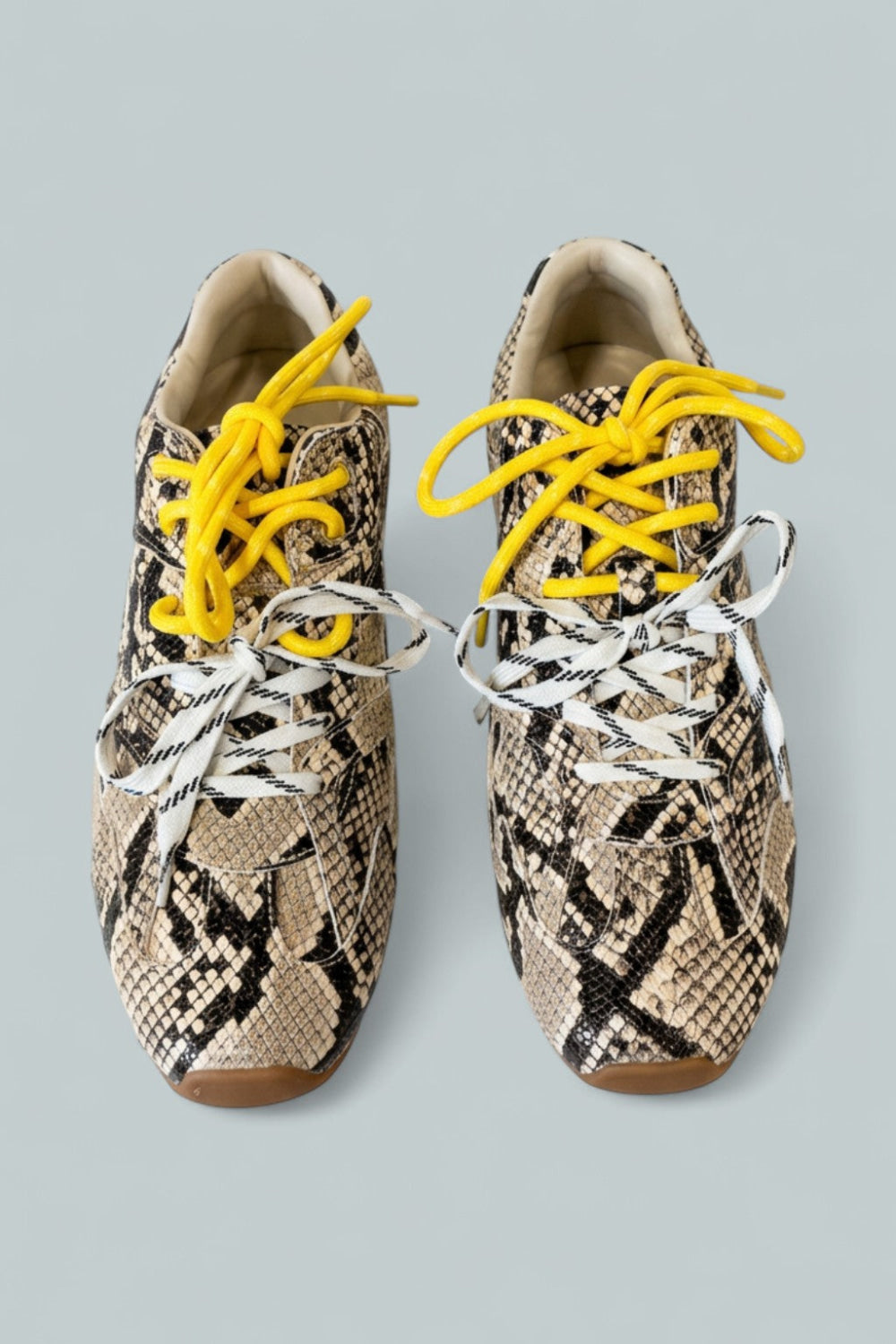 Women’s Aziel Sneakers - Tan Snake - 9 - Sneaker