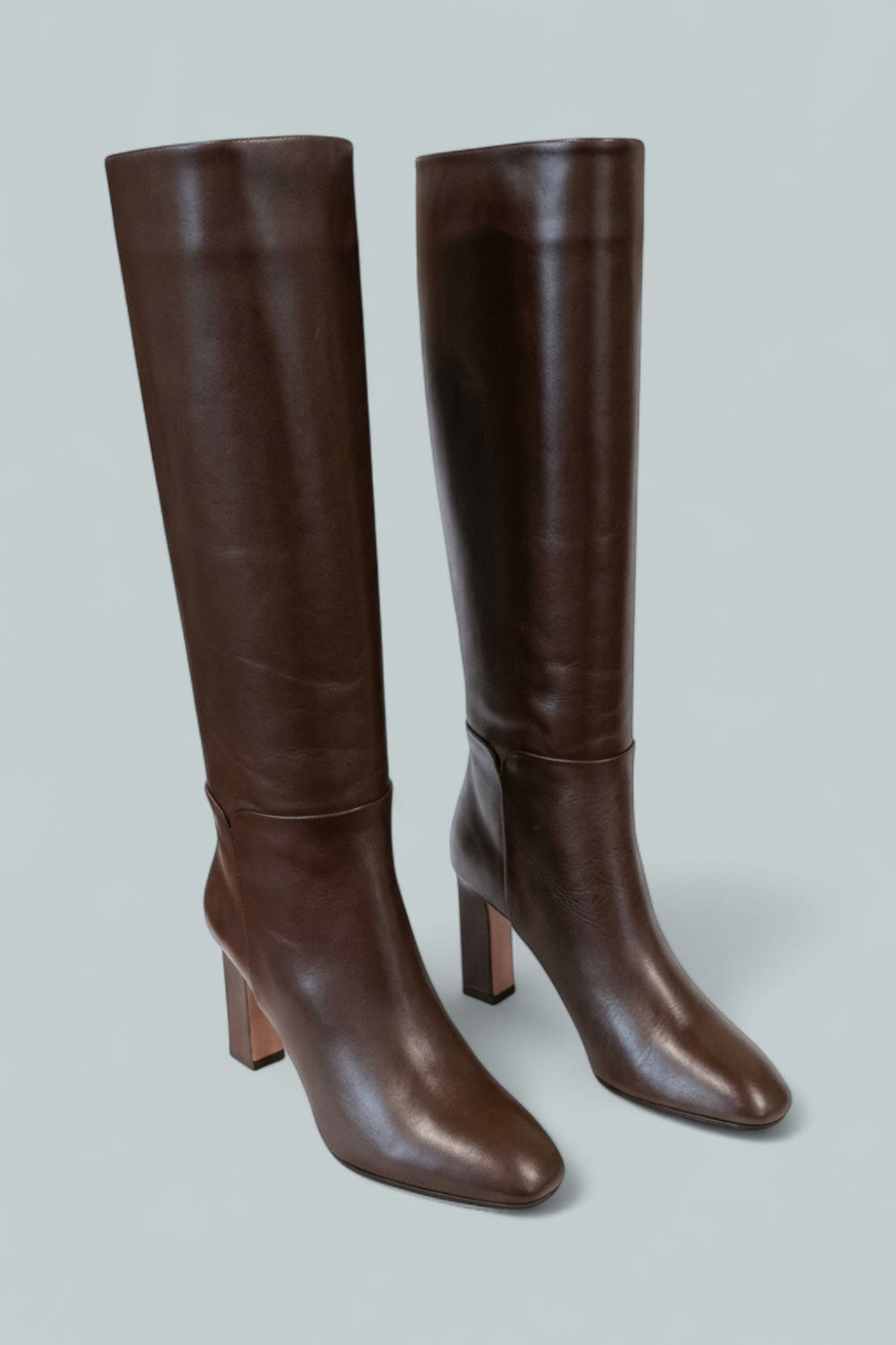 Women’s Sellier Tall Boots - Espresso - Boots