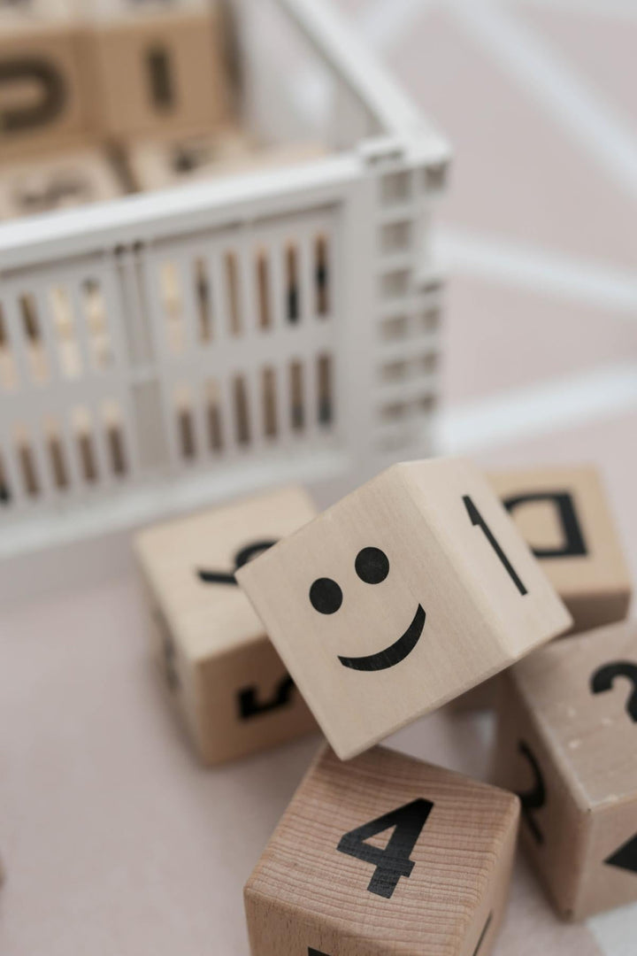 Wooden Math Blocks in Black - Wood - OS - Blocks