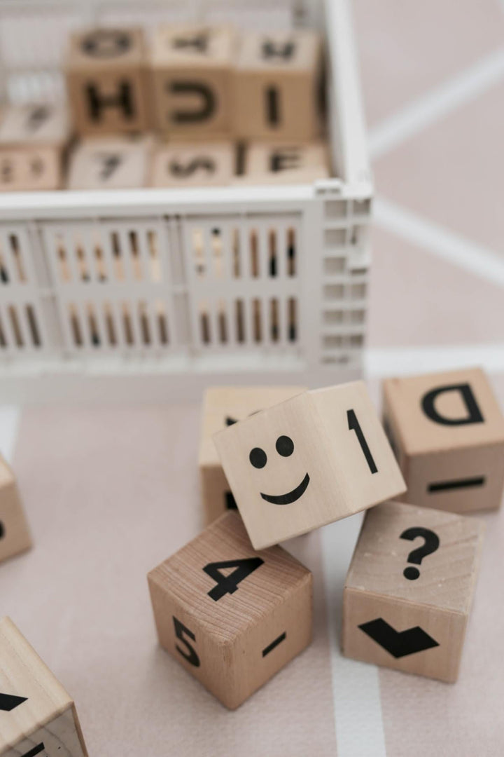Wooden Math Blocks in Black - Wood - OS - Blocks