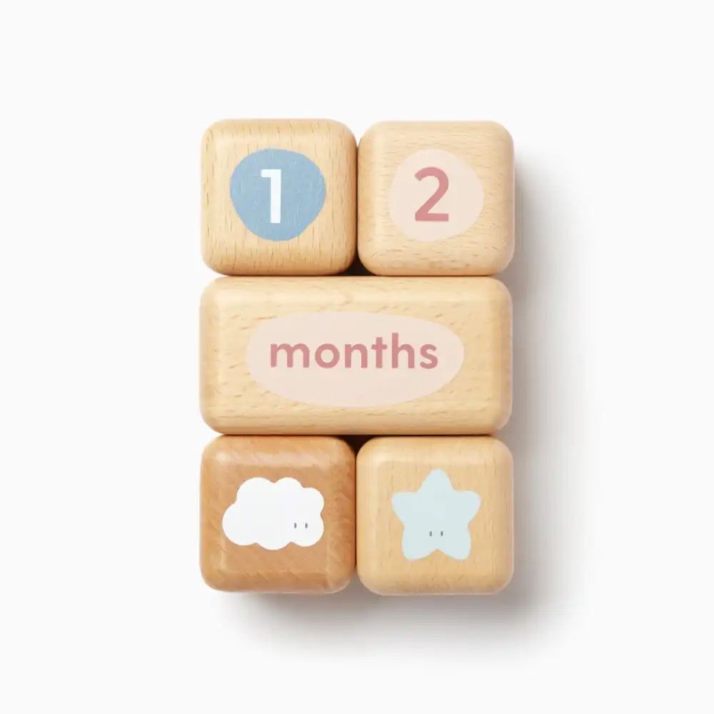 Wooden Baby Milestone Blocks Toys Mori 