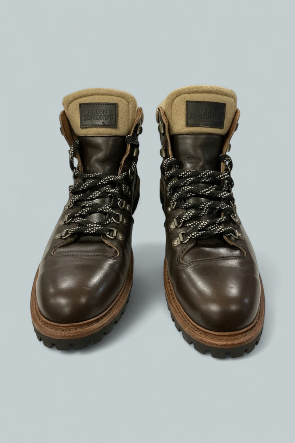 Men's Allen Edmonds Whistler Weatherproof Boots - Dark Brown Chromexcel Leather