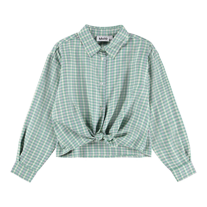 Rafa Shirts Long Sleeve - Menthe Gingham