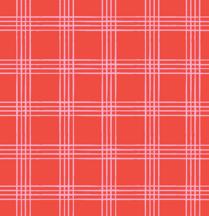 Boys Button Down - Red Picnic Plaid