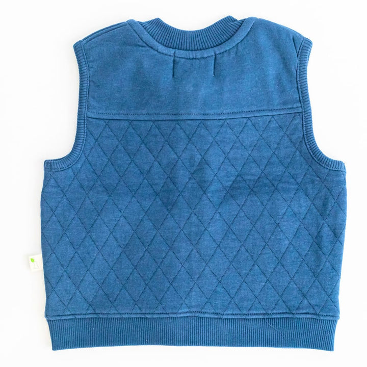 Blueberry Vest - Blueberry
