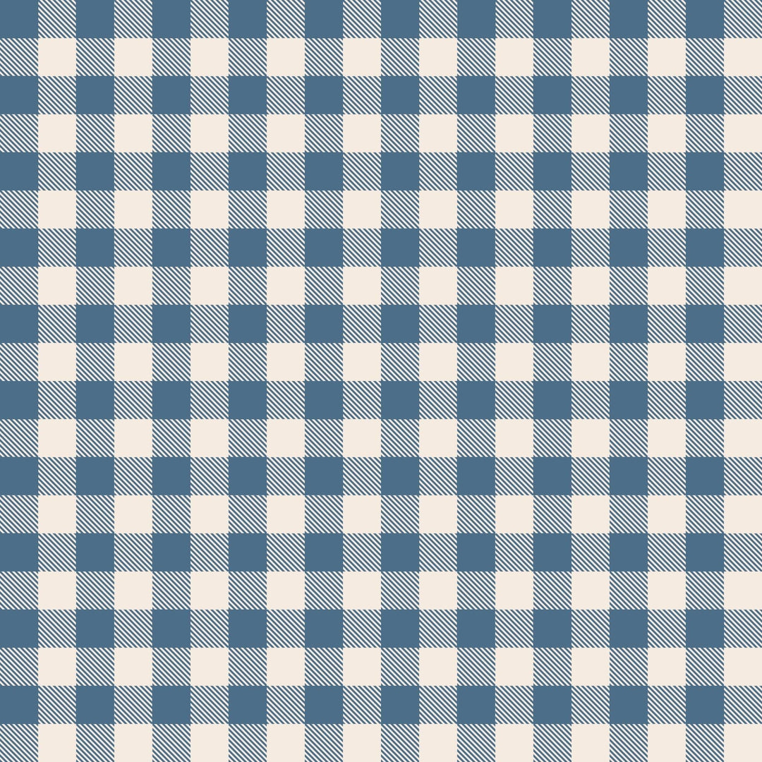 1.5 TOG Sleep Sack - Blue Gingham