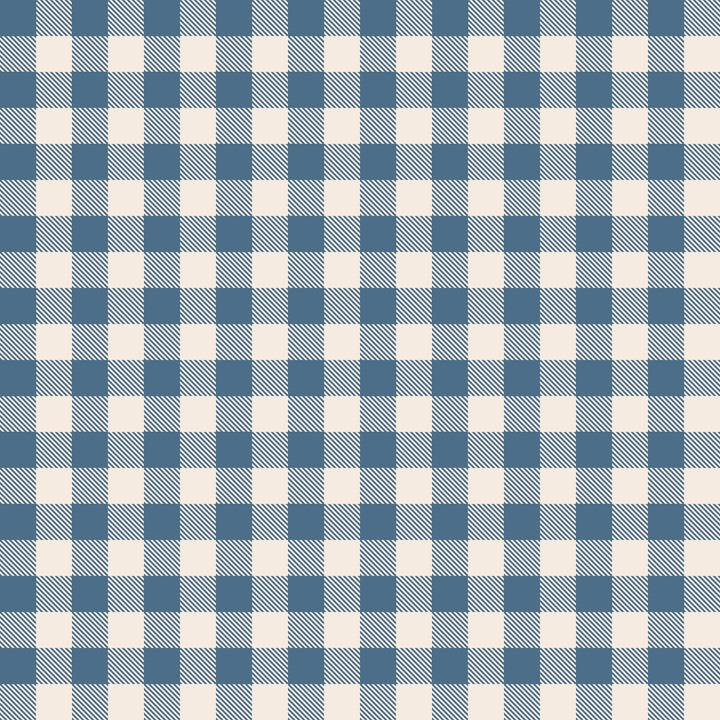 1.5 TOG Sleep Sack - Blue Gingham