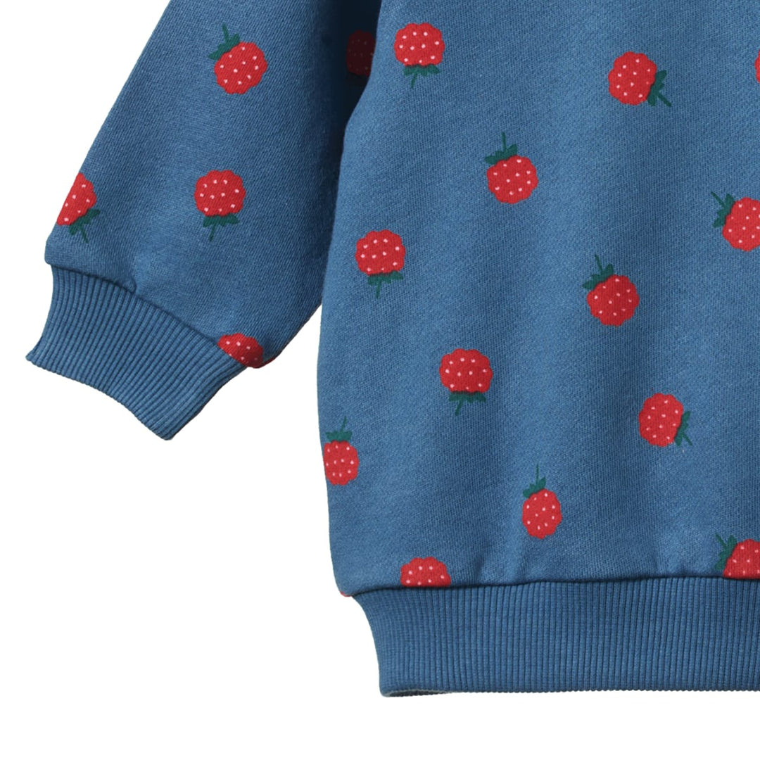 Emerson Sweater - Raspberry Blue Print