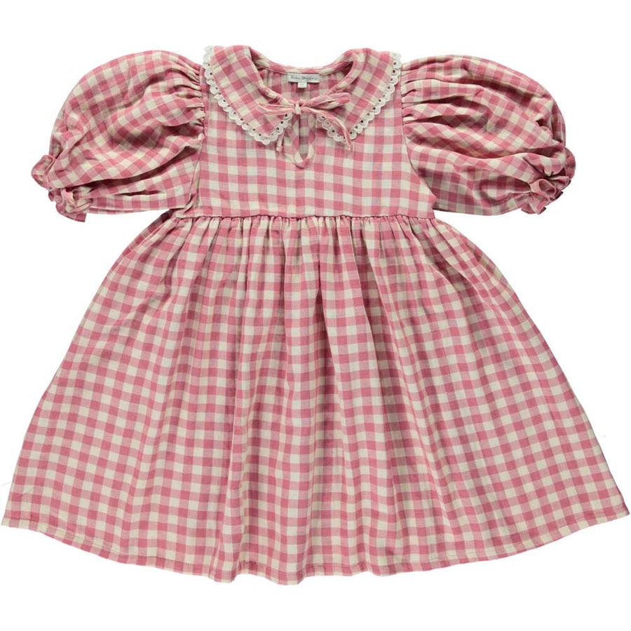 Amelia Empire Dress - Rose Gingham Dresses + Skirts Bebe Organic